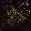 DSCN0376
